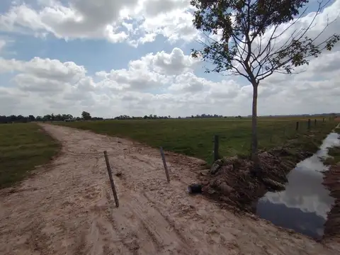 Terreno - Venta - Argentina, Domselaar