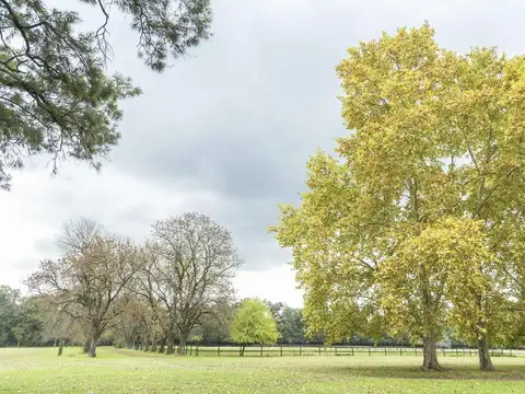 Terreno en Venta en Almahue, USD 115.000