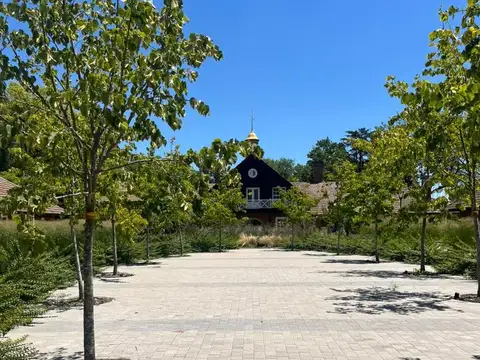 Almahue Pilar, La Lonja, Pilar