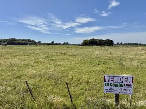 Avenida Pereyra e/ Augusto Cicaré