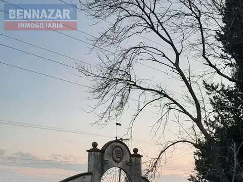 11 hectareas, la celina, san pedro, provincia de buenos aires