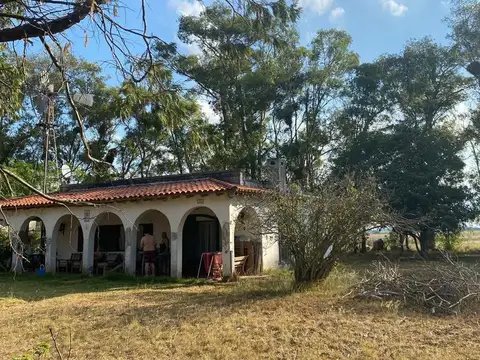 11 hectareas, la celina, san pedro, provincia de buenos aires