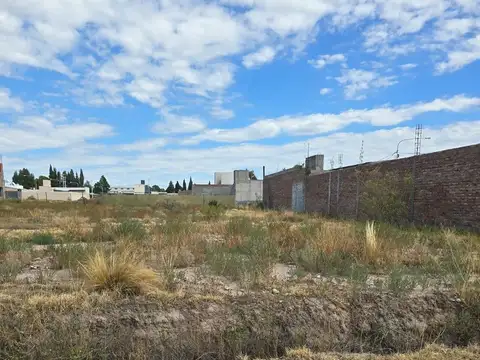 VENTA LOTE SAN RAFAEL MENDOZA