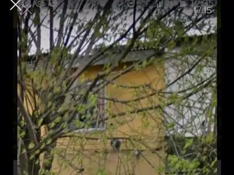 CORONEL PRINGLES 800