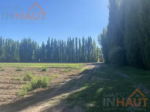 Chacra Frente Ruta 7 - VISTA ALEGRE SUR