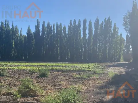 Chacra Frente Ruta 7 - VISTA ALEGRE SUR