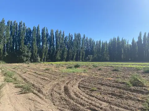 Chacra Frente Ruta 7 - VISTA ALEGRE SUR