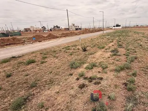 Terreno en Venta de 250,0 m2