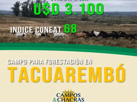 Campo en venta en Tacuarembó de 3425 hectáreas