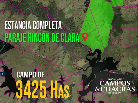 Ruta 31 y 5