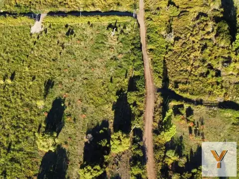 Terreno en Venta de 5000,0 m2