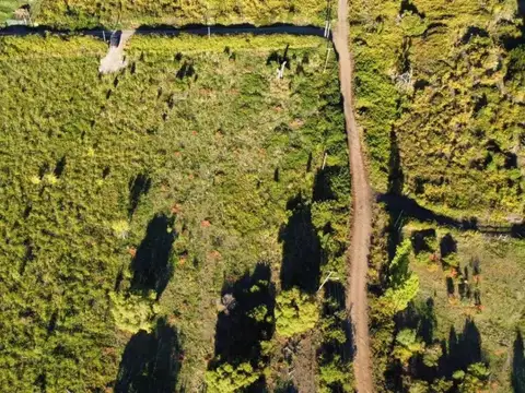 Terreno en Venta de 5000,0 m2