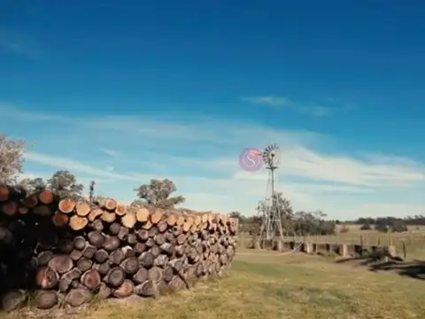 Estancia Carabassa