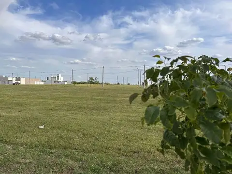 Terreno en Venta de 355,0 m2