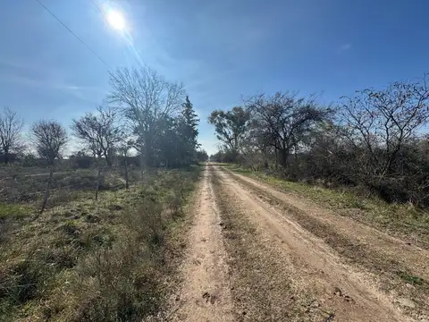Calle Publica