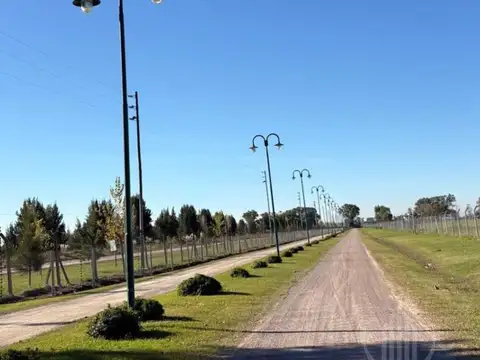 Terreno en Venta en Fincas Joven, USD 19.999