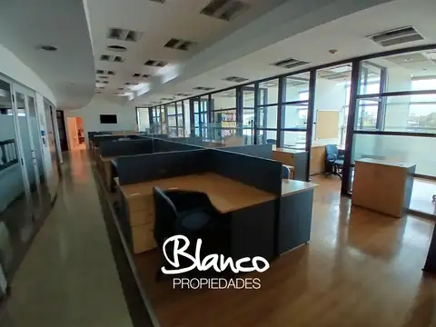 Oficina en Alquiler en La Lonja, USD 12.000