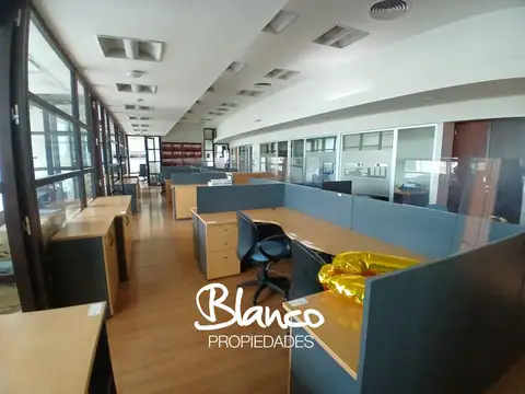Oficina en Alquiler 14 años