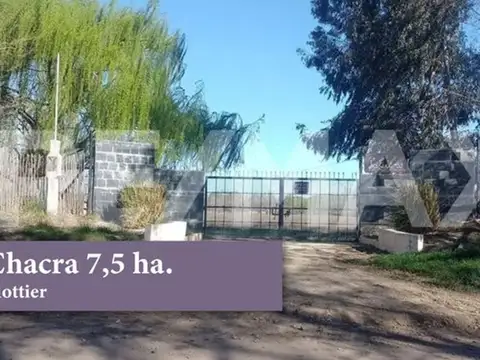 Campo en Venta en Plottier, Confluencia