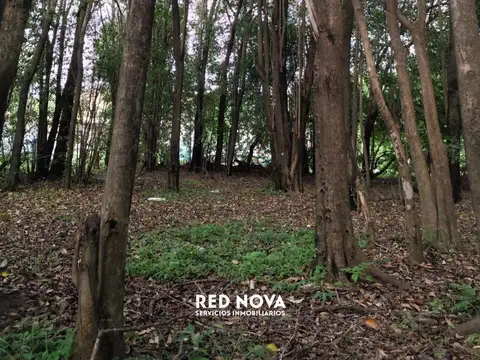 Lote en Venta en Villa Catalina