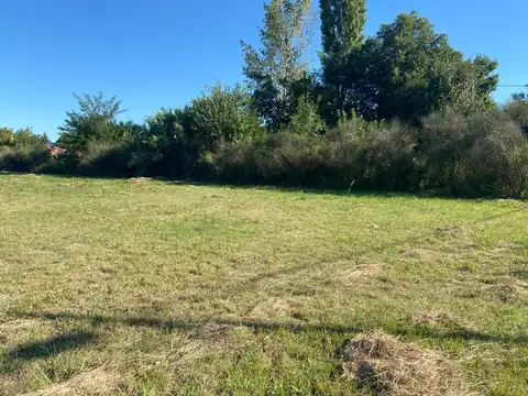 Terreno en Venta de 617,0 m2