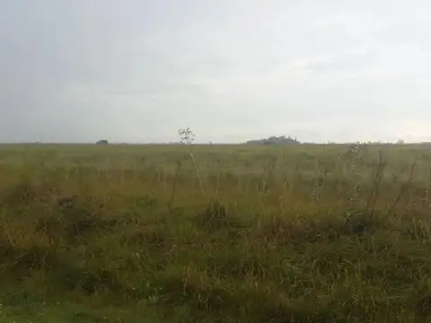 Campo en venta - 35 hectáreas - Agrícola - Ganadero - Magdalena