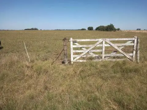 Ruta 20 e/ Magdalena y Vieytes