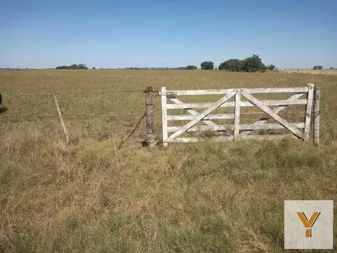 Ruta 20 e/ Magdalena y Vieytes