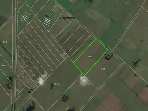 Campo en venta - 35 hectáreas - Agrícola - Ganadero - Magdalena