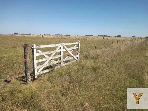 Campo en venta - 35 hectáreas - Agrícola - Ganadero - Magdalena