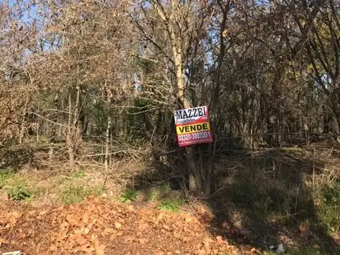  Excelente ubicación 