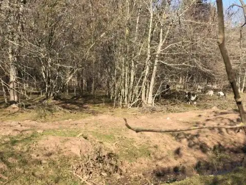 Lote El Cazador Cod: 10974