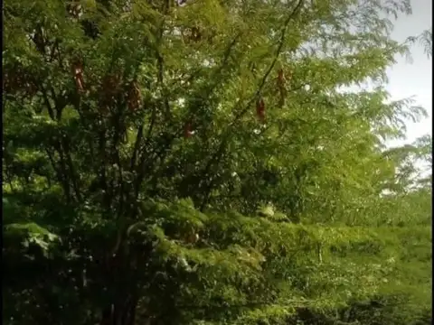 Terreno en Venta de 40000,0 m2