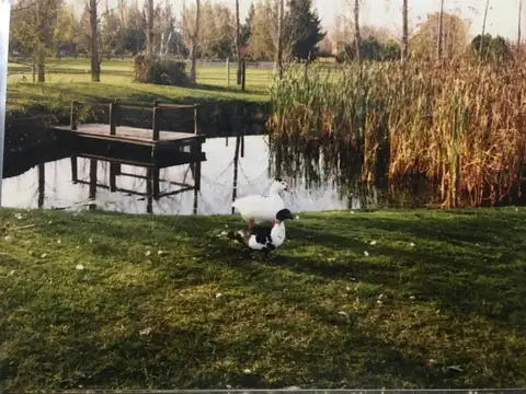 Casa en Venta 10 años
