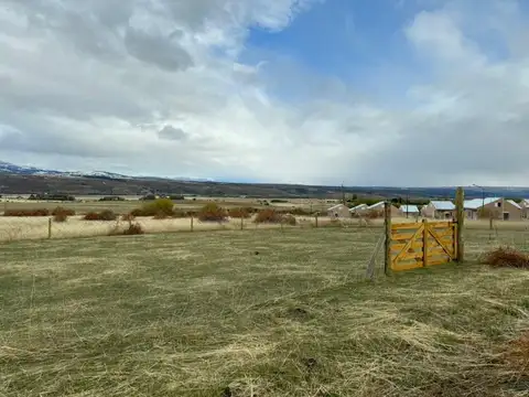 las Mutisias entre Pangue  y Huautro