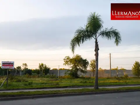 Venta de terreno de 2 hectáreas en Benavídez para escriturar