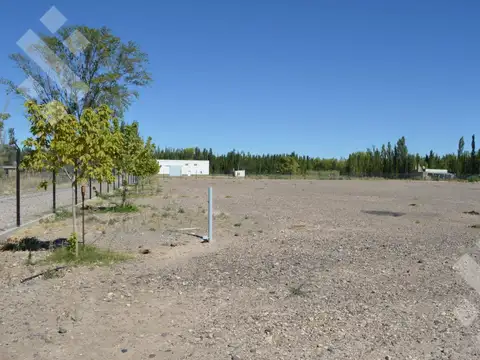 Galpon en Alquiler A Estrenar
