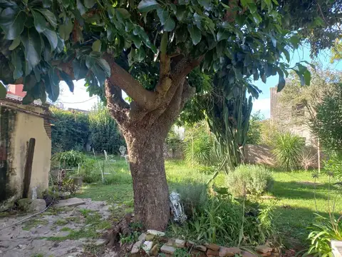 Alquiler con fines comerciales - Patrimonio HISTORICO - Centro Capilla del Señor