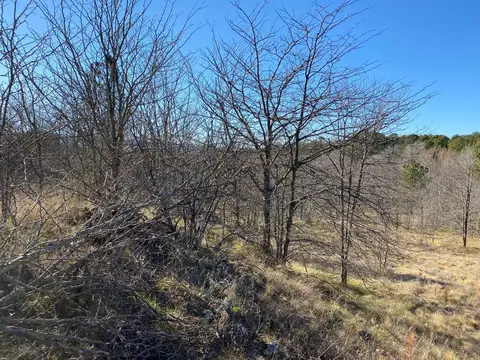 Oportunidad - Santa Monica - Zona la Olla - 8 Hectáreas con costa de Arroyo - U$S 280.000