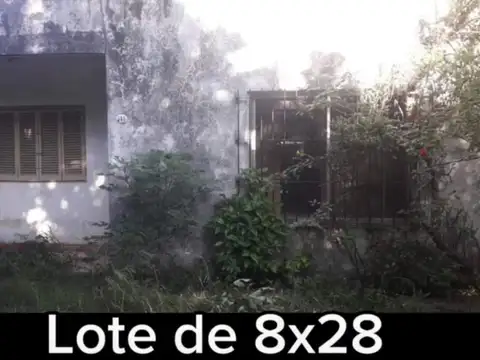 Aristóbulo del Valle 300
