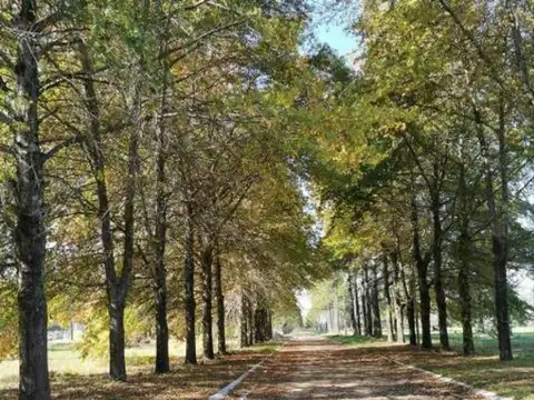 Rbs. Oportunidad! Espectacular Lote Interno En Nueva Zelaya 2