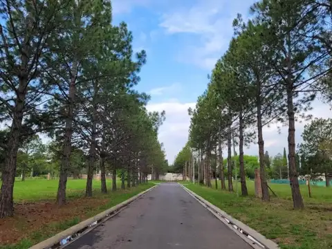 Terreno en Venta en Pilar Del Este, USD 22.000