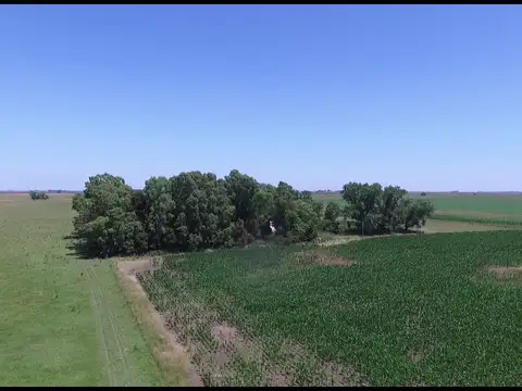 Venta de Campo en  Chascomús