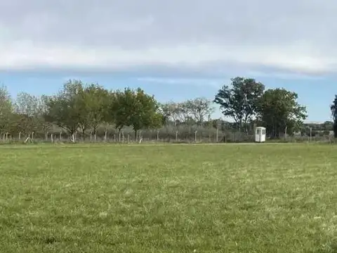 Club de Campo La Ranita