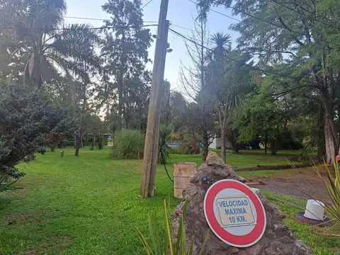 Santa Teresa De Jesus 2450