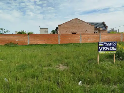 Terreno 