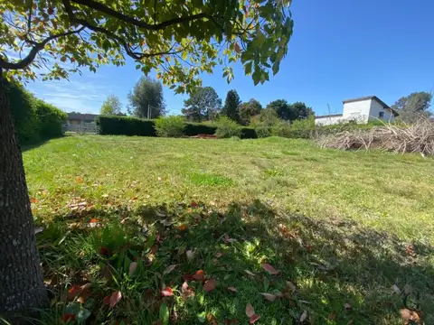Terreno en Venta 56  mts Fondo