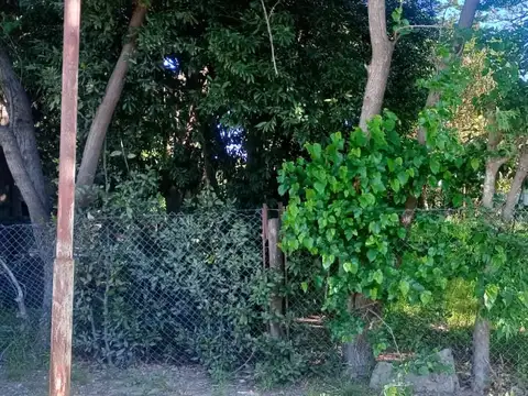 Terreno en Venta en Zavalla, USD 49.000