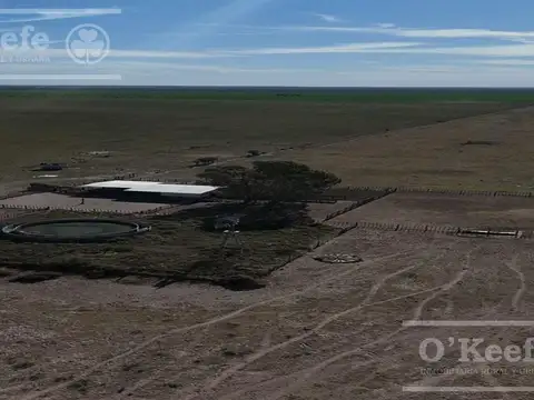 Campo mixto en venta 10.000 has en Patagones