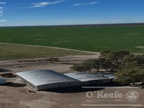 Campo mixto en venta 10.000 has en Patagones